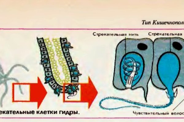 Кракен оригинальная ссылка для тор