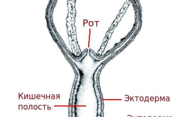 2krn cc что это