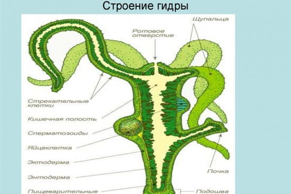 Кракен ссылка fo feng crmp ru